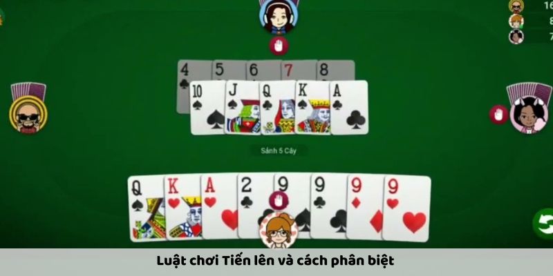 Trải Nghiệm Đánh Bài Tiến Lên 4 Người - Cảm Giác Căng Thẳng Và Hồi Hộp Cách chơi đơn giản luôn thu hút nhiều người chơi