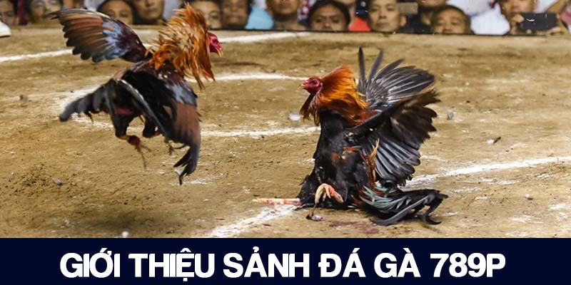 Đá gà 789P tích hợp tất cả các hình thức hiện có trên thị trường