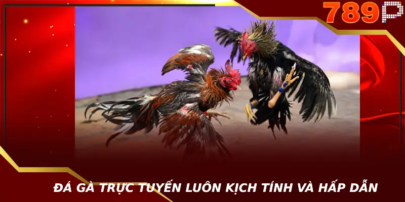 Trang Chủ Đá gà trực tuyến luôn kịch tính và hấp dẫn