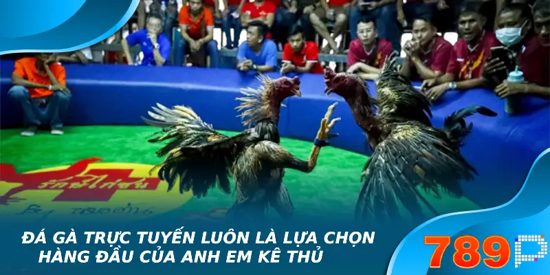 Đá Gà Thomo – Thông Tin Chi Tiết Mới Nhất 2025 Đá gà trực tuyến luôn là lựa chọn hàng đầu của anh em kê thủ